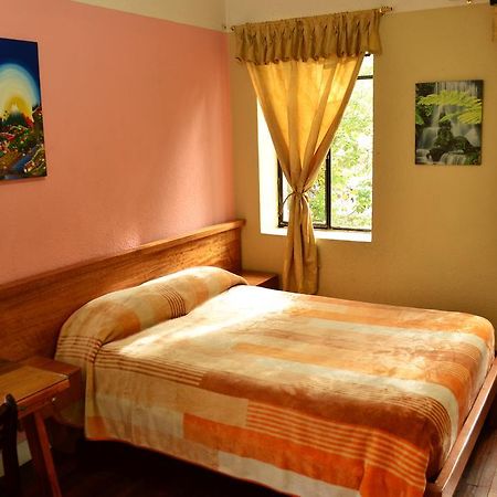 Hostal Loro Verde 基多 外观 照片